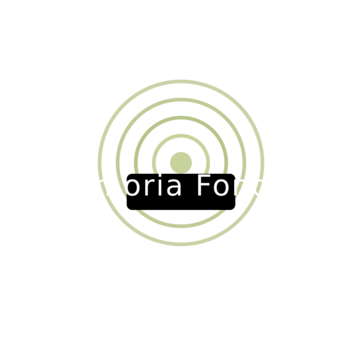 Логотип Xelmoria Fondivo